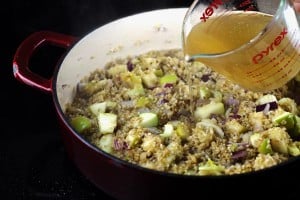 Cranberry Apple Freekeh | The Mediterranean Dish