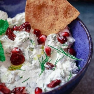 Cranberry and Herb Labneh Recipe | The Mediterranean Dish. Creamy labneh cheese makes the perfect Mediterranean party dip with loads of fresh herbs and dried cranberries. This labneh recipe comes with a homemade pita chips recipe as well! So easy. See it on TheMediterraneanDish.com