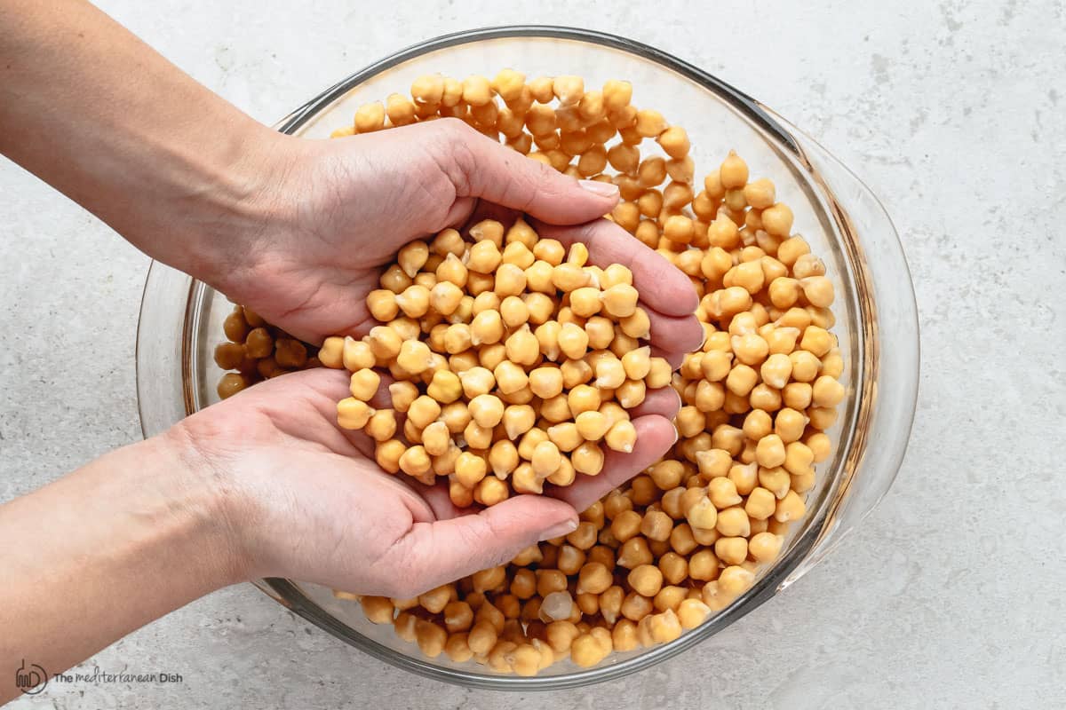 Chickpeas after being soaked for 24 hours