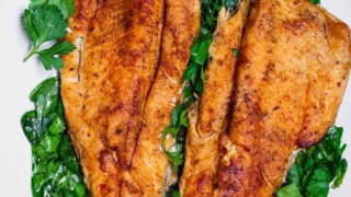 Easy Pan Seared Trout Recipe