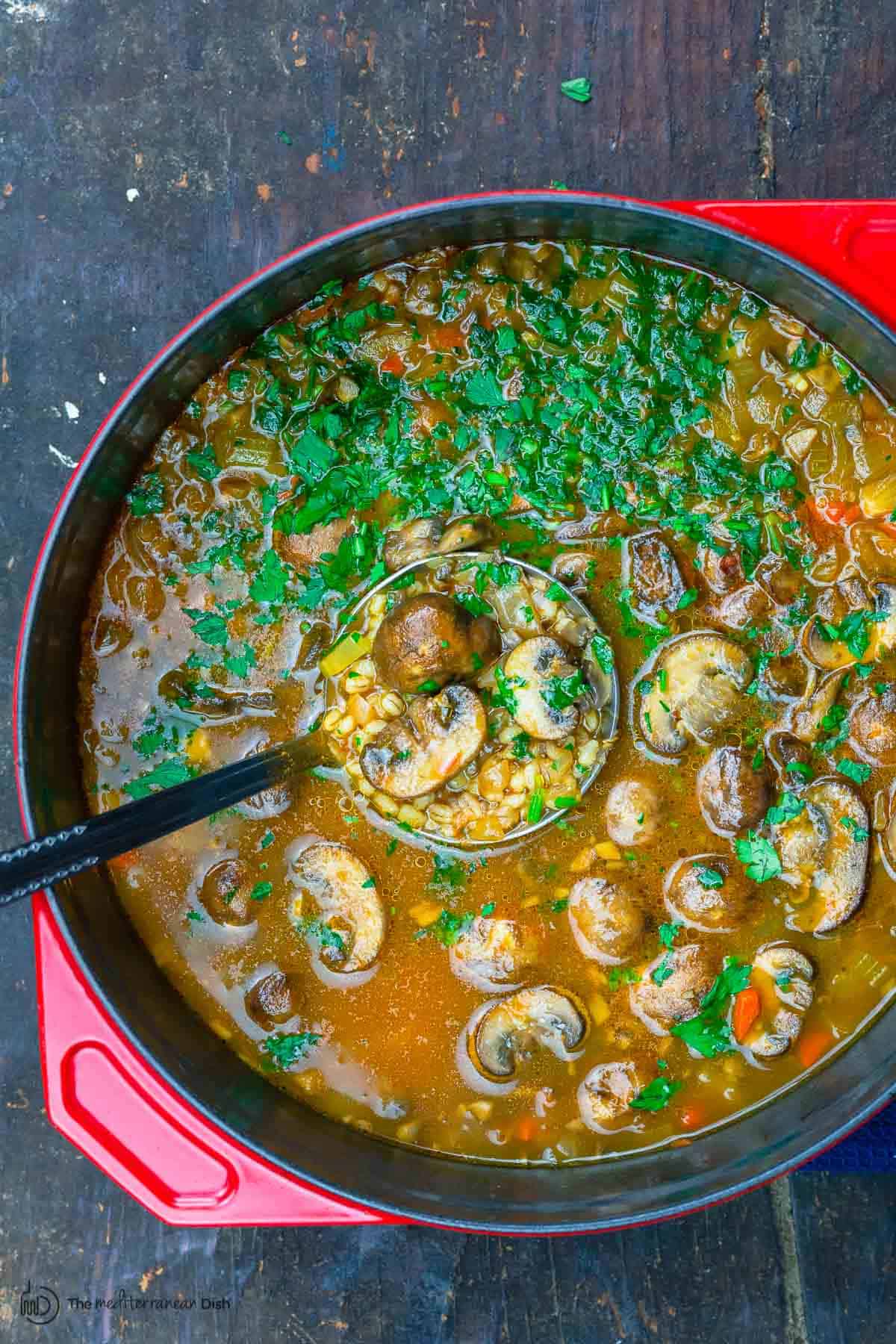 Easy Mushroom Barley Soup Recipe - The Healthy Maven