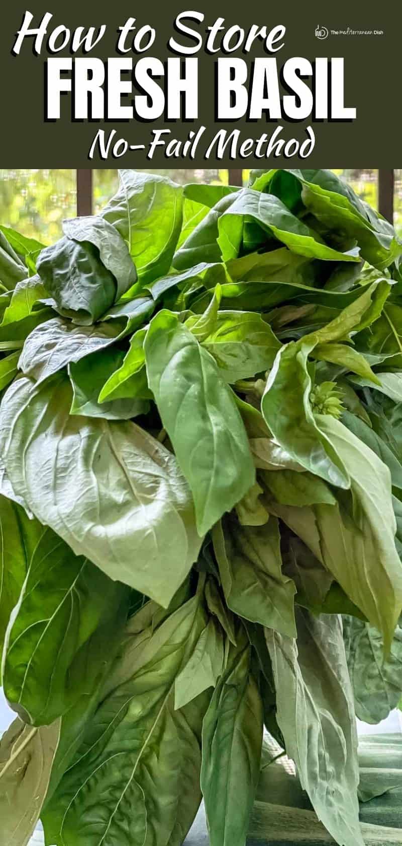 pin image 2 for fresh basil hack