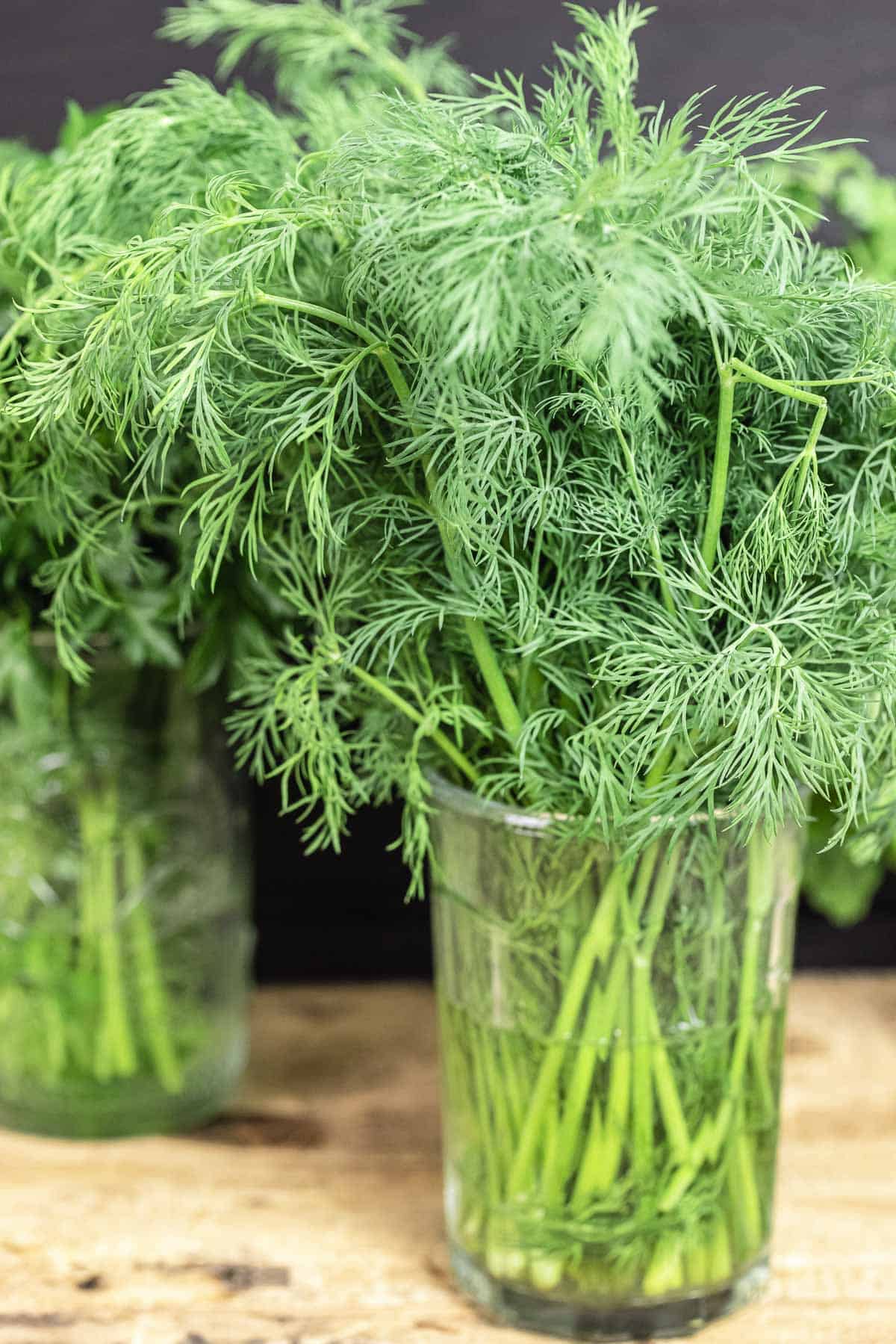 How To Store Herbs 3 