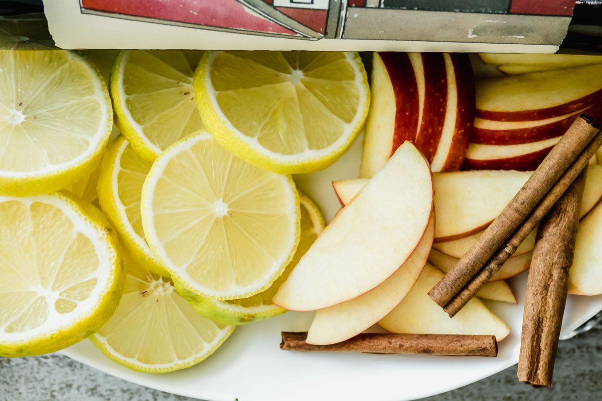 close up of sliced lemons, apples and cinnamon sticks on a plate.