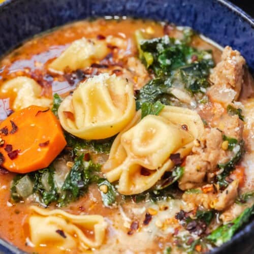 https://www.themediterraneandish.com/wp-content/uploads/2022/11/tortellini-soup-recipe-4-500x500.jpg