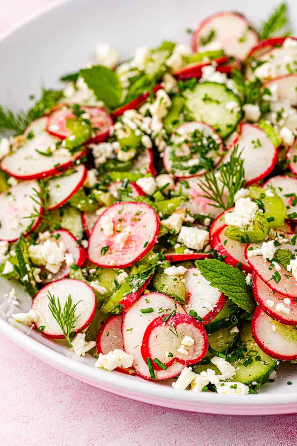 Cucumber Radish Salad The Mediterranean Dish