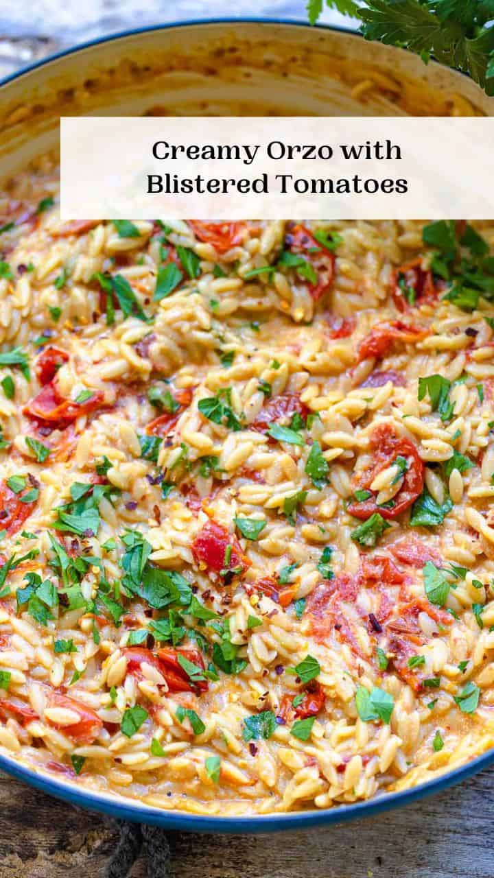 Creamy Orzo with Garlic, Parmesan, and Blistered Tomatoes - The ...
