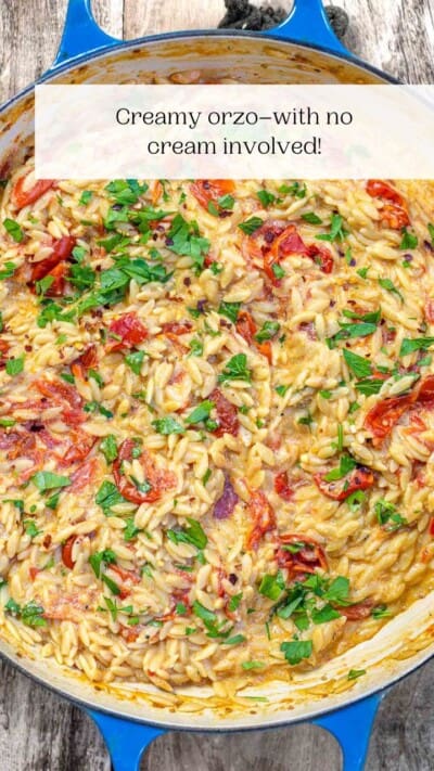 Creamy Orzo with Garlic, Parmesan, and Blistered Tomatoes - The ...