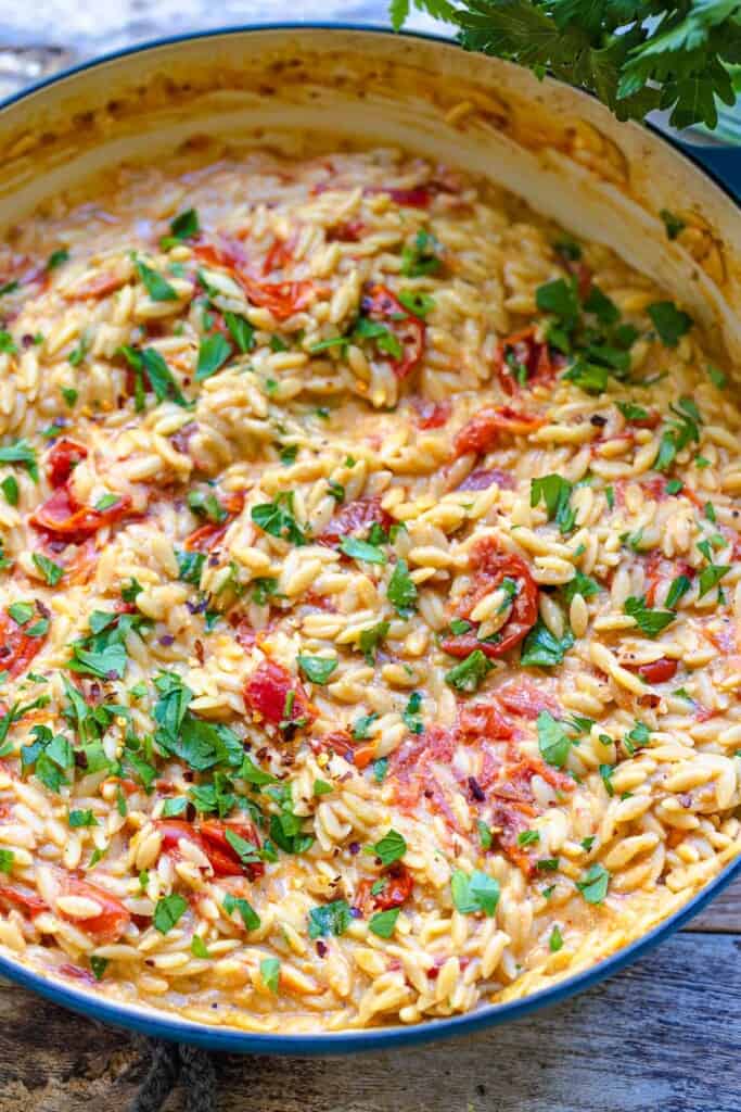 Creamy Orzo with Blistered Tomatoes | The Mediterranean Dish