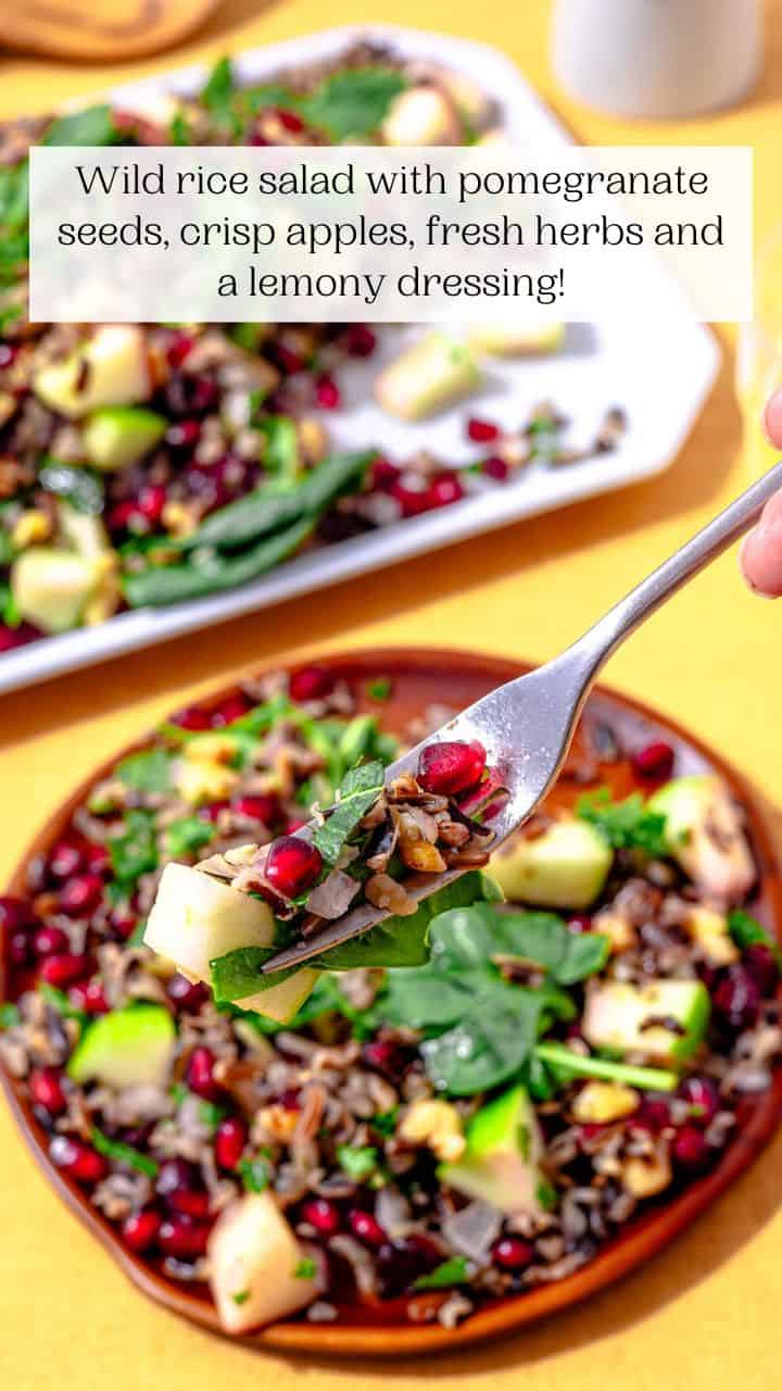 Wild Rice Salad - The Mediterranean Dish