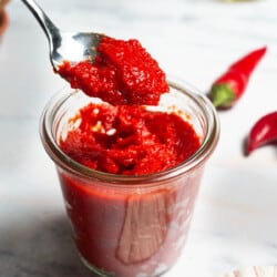 Red pepper paste being lifted out of a jar of the paste on a spoon. Surrounding this is a bowl of olive oil, two red chilies and a kitchen towel.