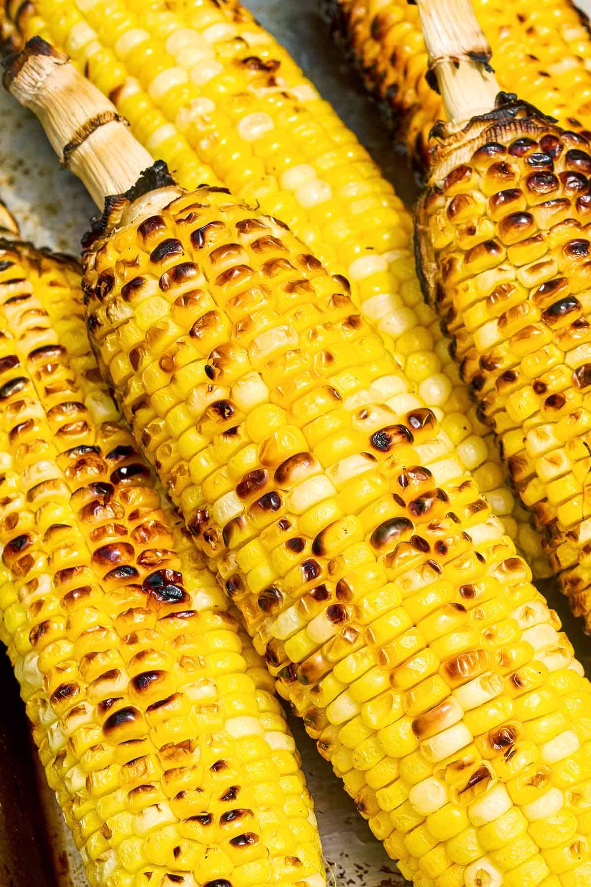 A close up photo of 4 grilled corncobs.