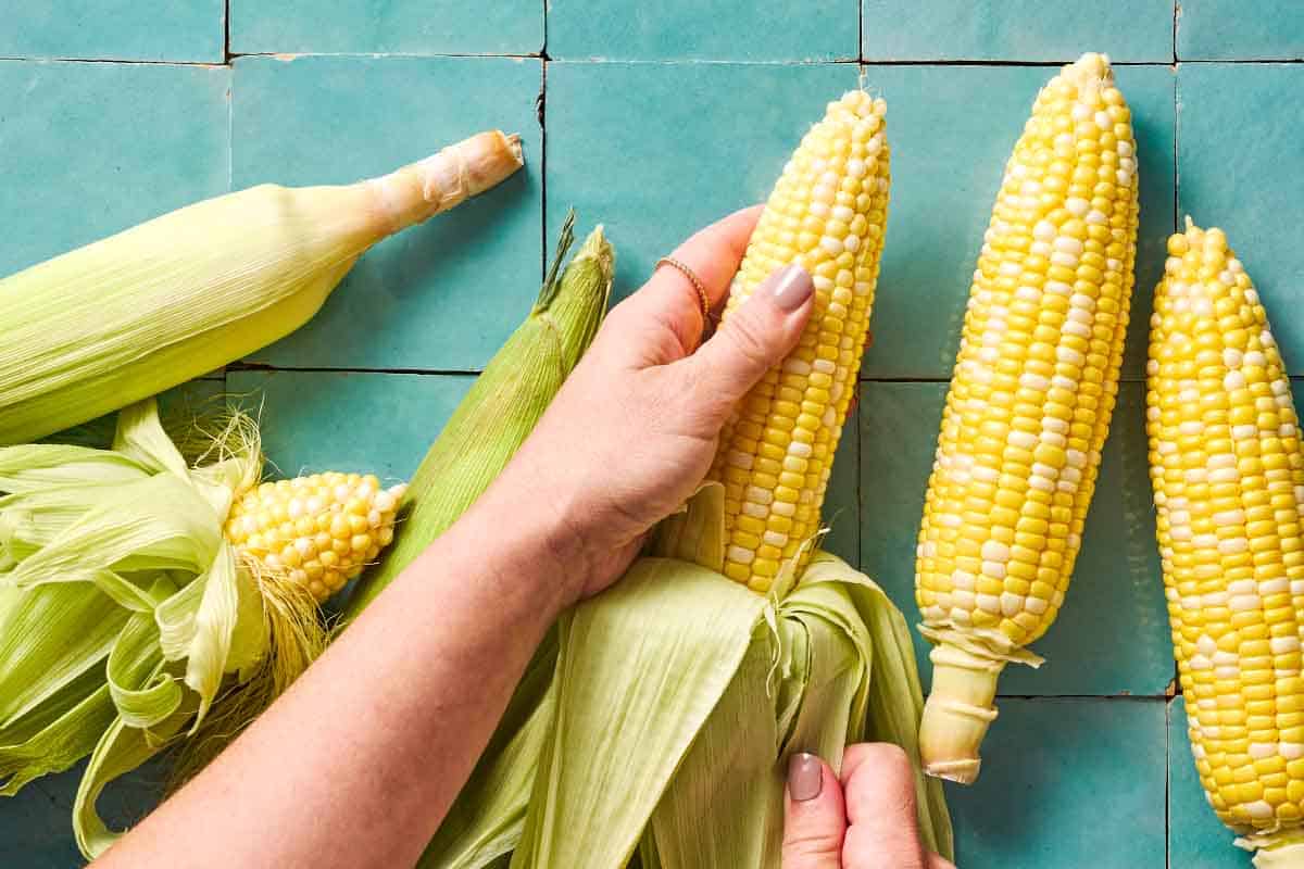 An overhead photo of an ear of corn being shucked, next to 5 other ears of corn.
