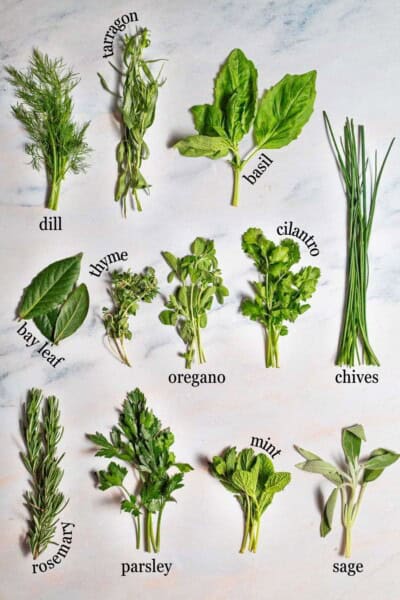 Guide to Fresh Herbs | The Mediterranean Dish