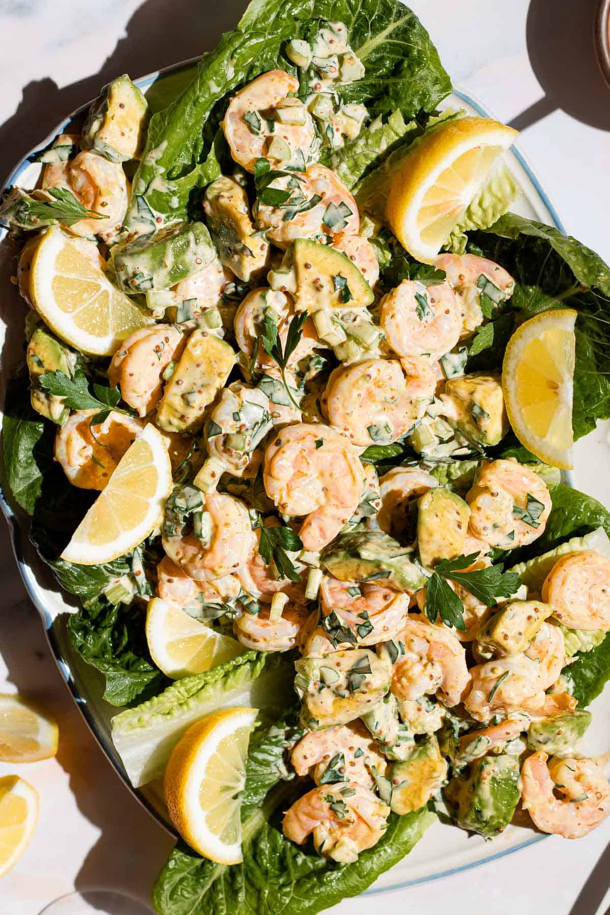 Overhead shot of shrimp salad on a romaine-lined serving platter with lemon wedges on the side.