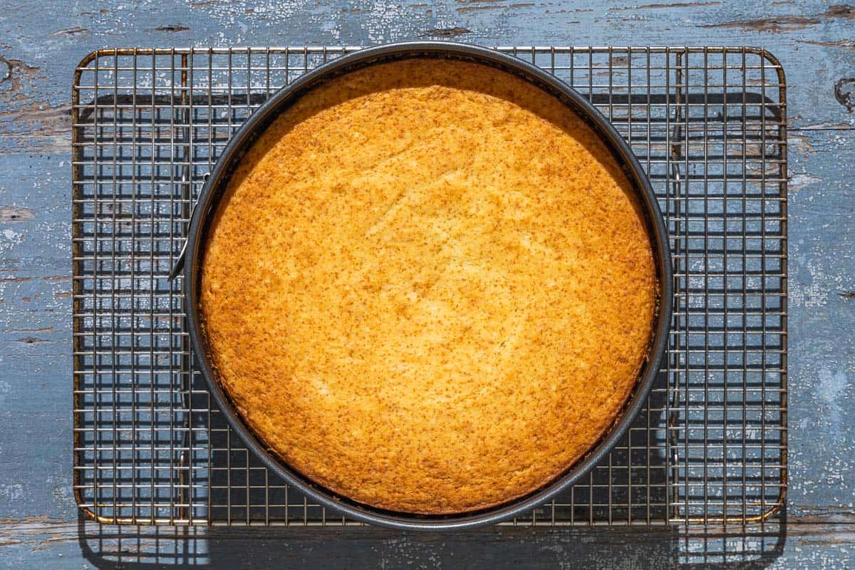 The baked lemon ricotta cake in a springform pan on a wire cooling rack.