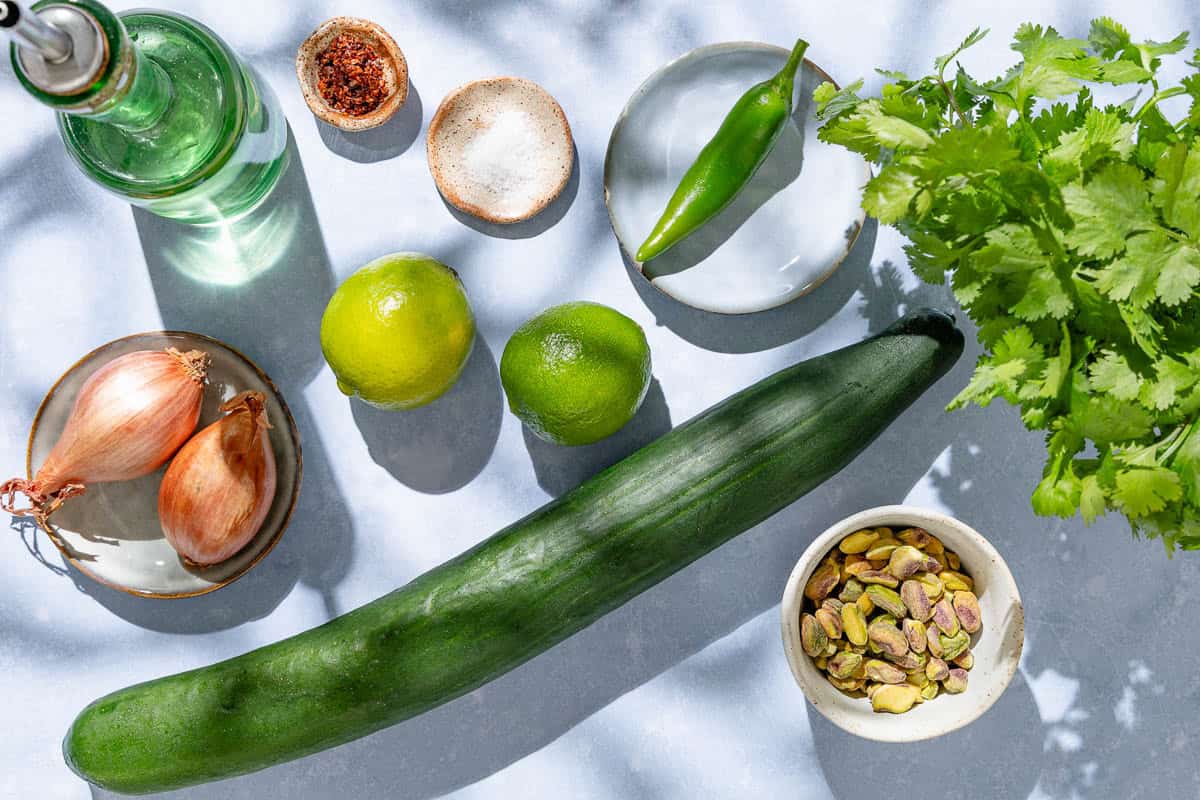 Ingredients for cucumber salsa including an English cucumber, jalapeno, aleppo pepper, shallots, cilantro, limes, olive oil, salt, and pistachios.