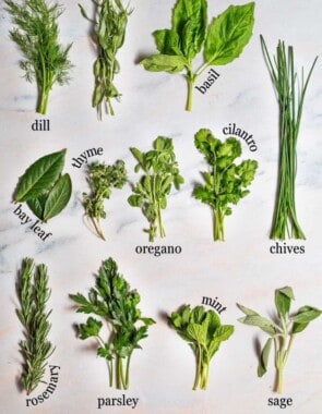 Guide to fresh herbs web story poster image.