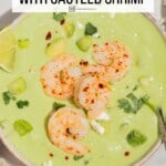 Pin image 2 for chilled avocado soup.