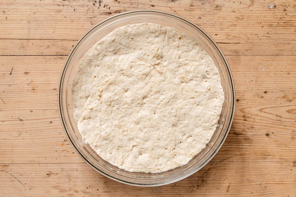 Dough rising in a mixing bowl.