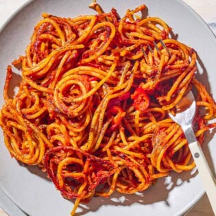An overhead photo of a serving spaghetti all'assassina on a plate with a fork.