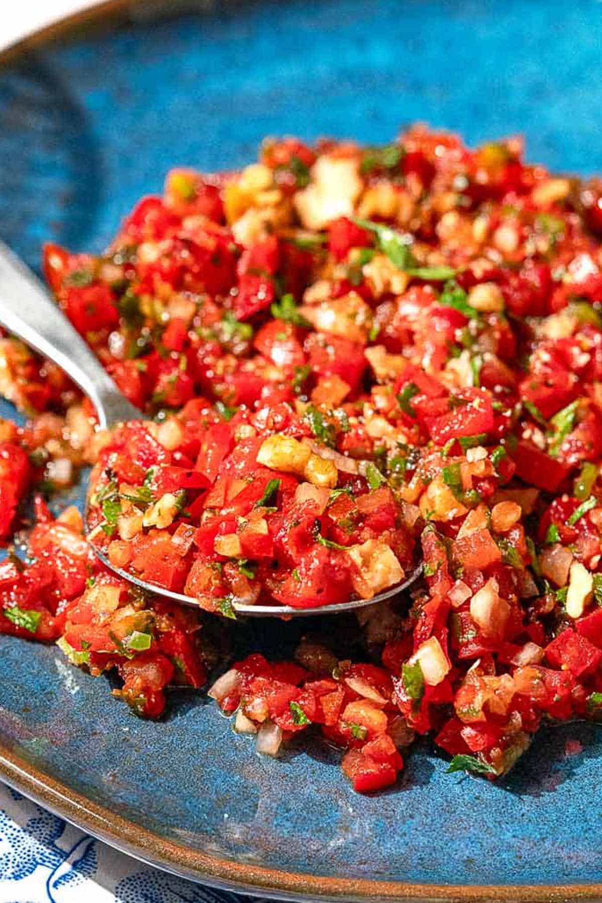 A close up of a plate of ezme turkish salsa on a plate with a spoon.