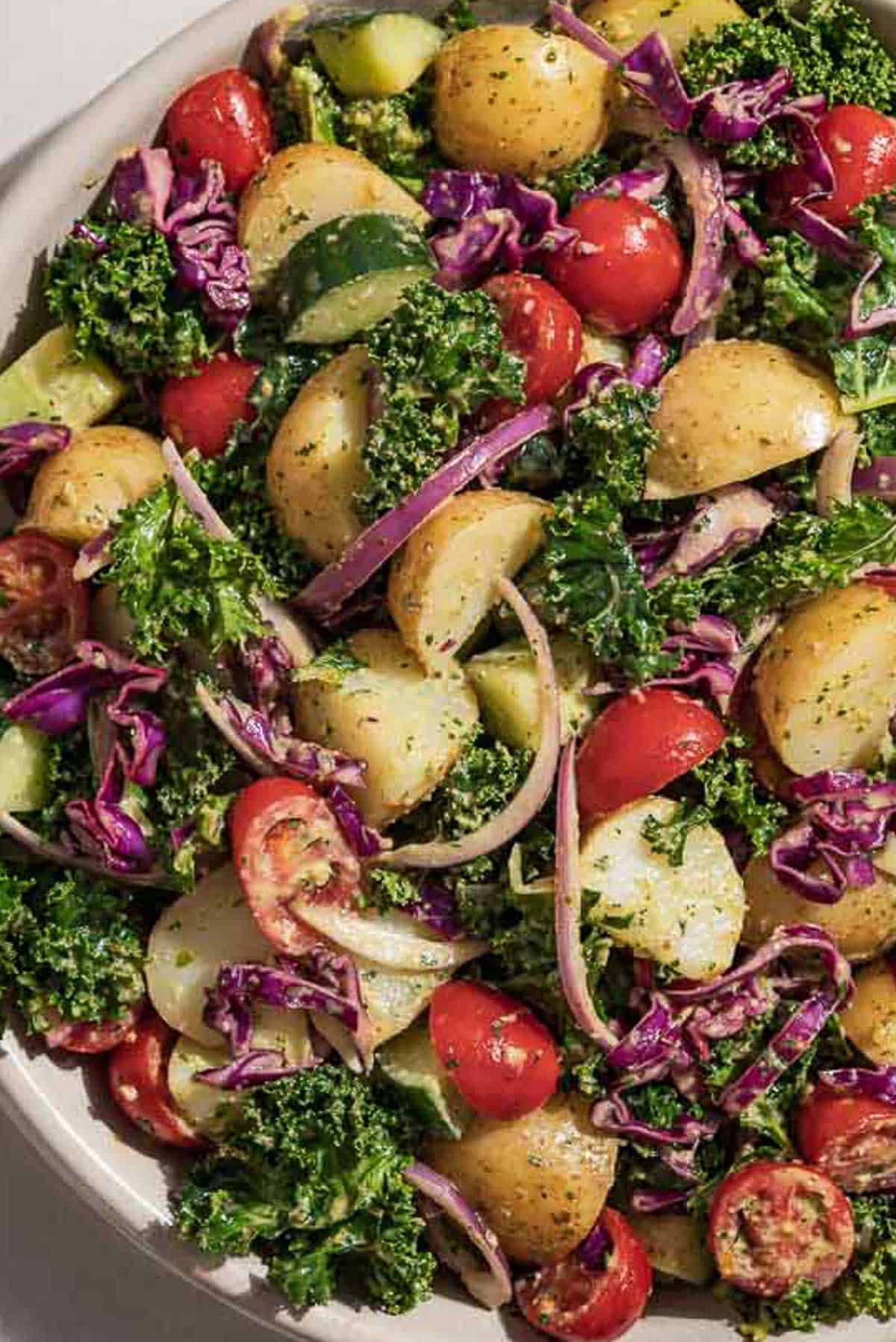 A close up of pesto potato salad in a serving bowl. It's considered a healthy potato salad loaded with kale, potatoes, tomatoes, cabbage, onions and tomatoes.