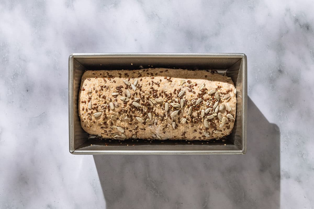 An overhead photo of unbaked whole wheat bread in a loaf pan.