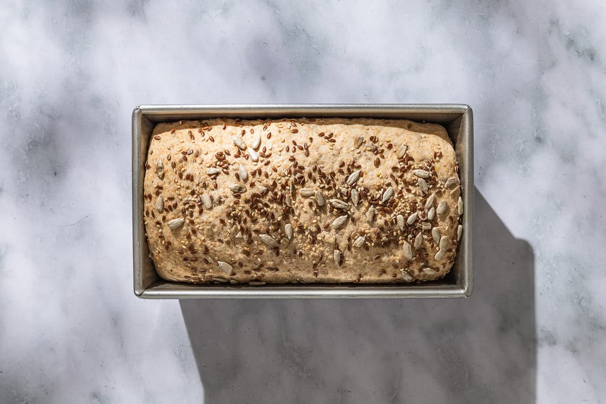 An overhead photo of unbaked whole wheat bread in a loaf pan.