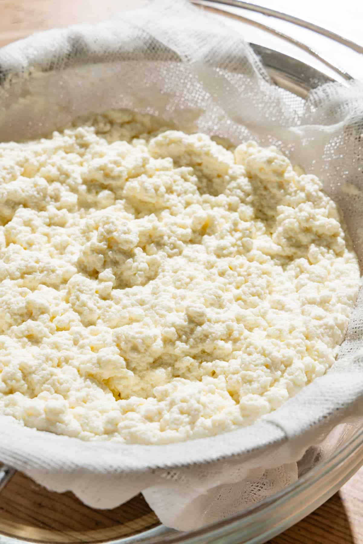 Ricotta Salata Where To Buy