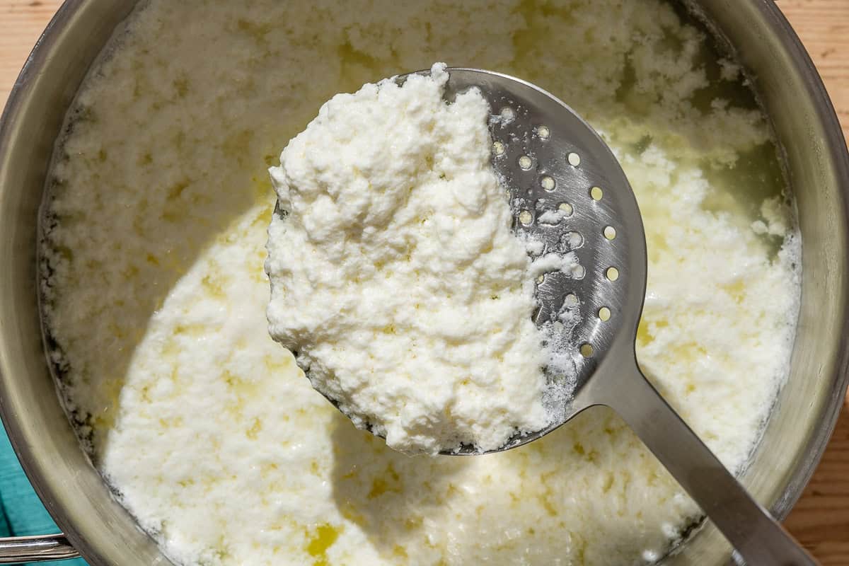 An overhead photo of a ladle of homemade ricotta being lifted from a pot of the unsifted ricotta.