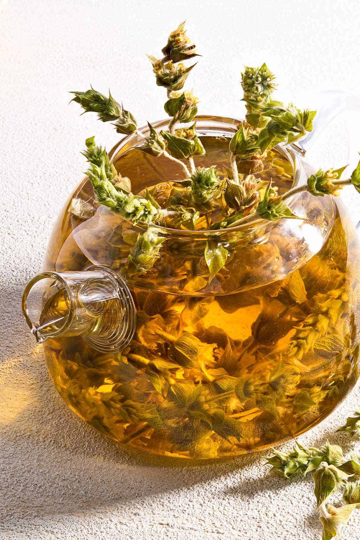 A bunch of Greek mountain tea brewing in water in a glass kettle. Next to this is a spring of the tea bunch.