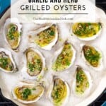 Pin image 2 for how to grill oysters.