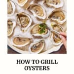 Pin image 3 for how to grill oysters.