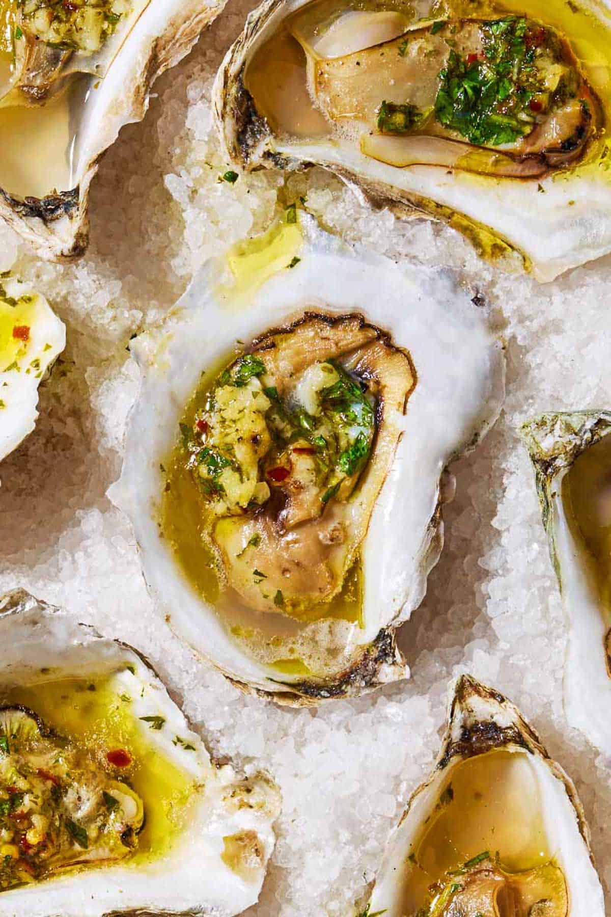 A close up of several grilled oysters with garlicky herb sauce on a bed of rock salt.