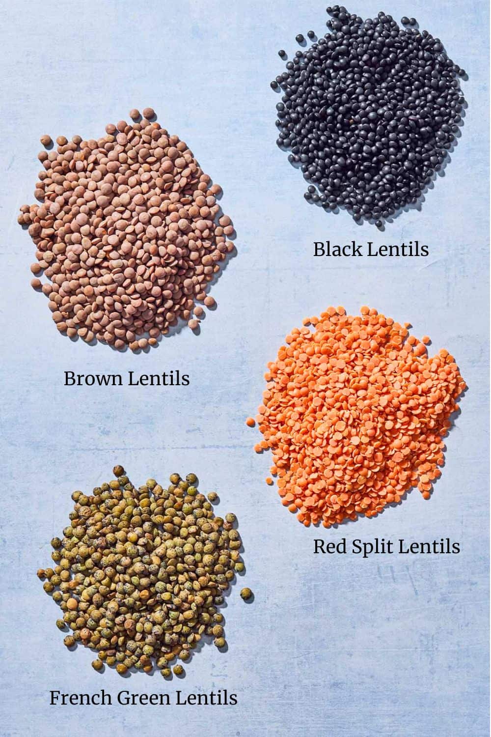 A close up of piles of brown lentils, black lentils, french green lentils and red split lentils.