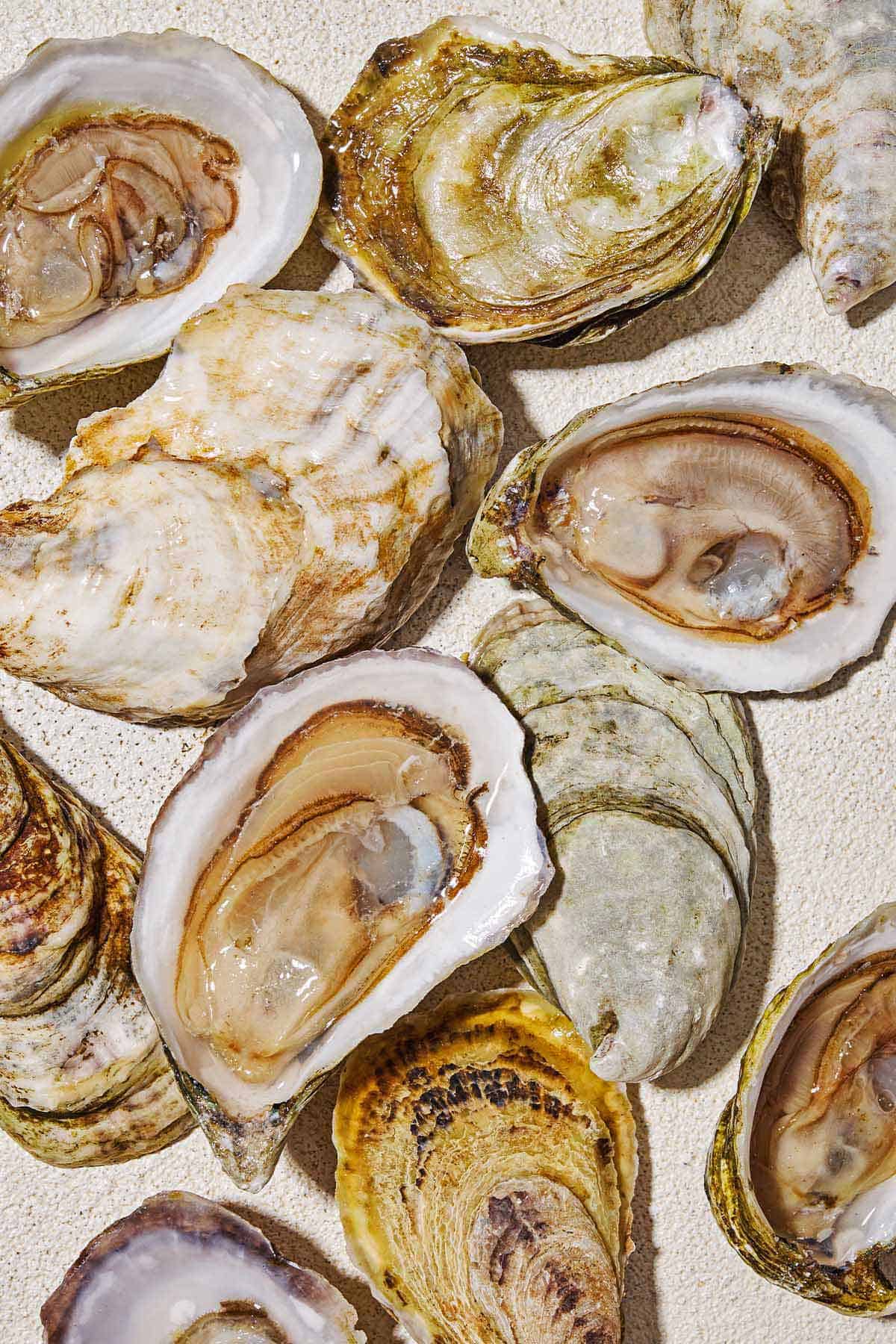 A close up of several shucked oysters next to their top shells.