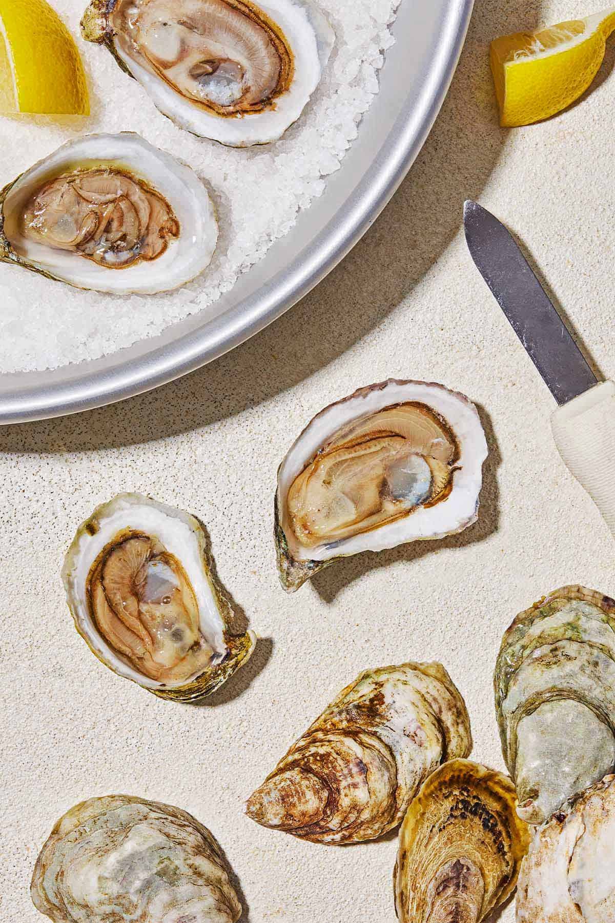 An overhead photo of shucked oysters on a bed of rock salt on a platter with a lemon wedge. Next to this is 2 more shucked oysters, their top shells, an oyster knife, and another lemon wedge.