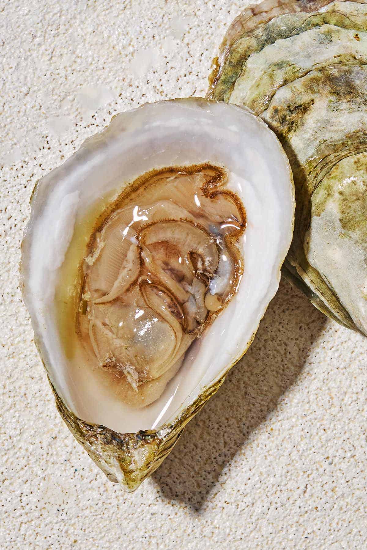 An overhead close up photo of a shucked oyster.