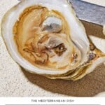 Pin image 1 for how to shuck oysters.