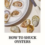 Pin image 3 for how to shuck oysters.