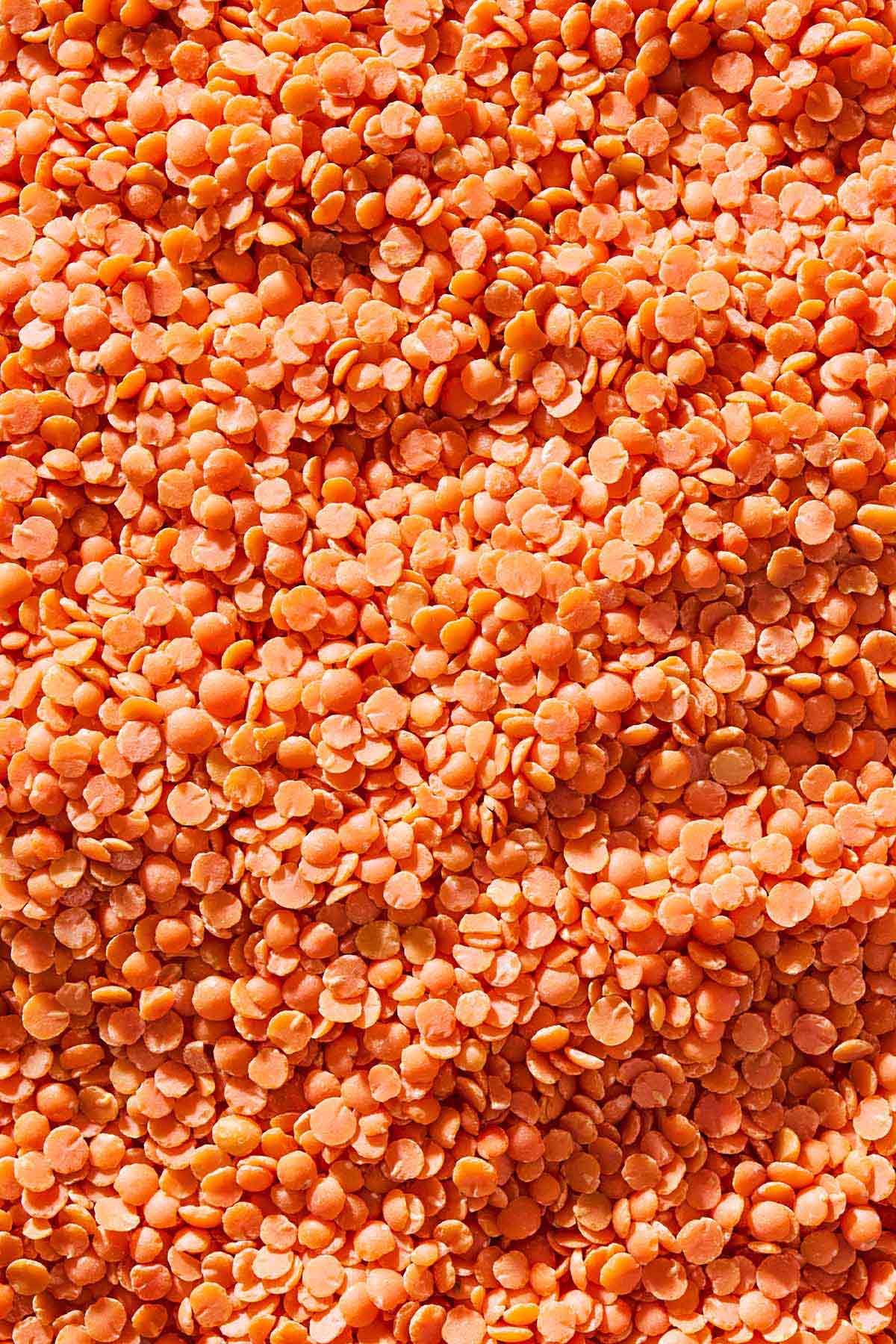 A close up of red lentils.