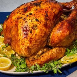 A close up of a whole roasted dry brined thanksgiving turkey on a bed of lemon wheels and greens on a platter. Next to this is a carving knife.