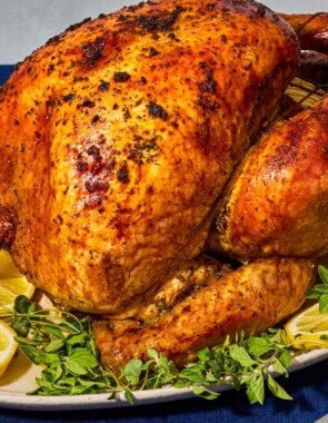 A close up of a whole roasted dry brined thanksgiving turkey on a bed of lemon wheels and greens on a platter. Next to this is a carving knife.