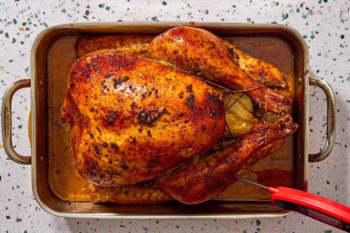 An overhead photo of a whole roasted dry brined thanksgiving turkey with a meat thermometer in it in a roasting pan.