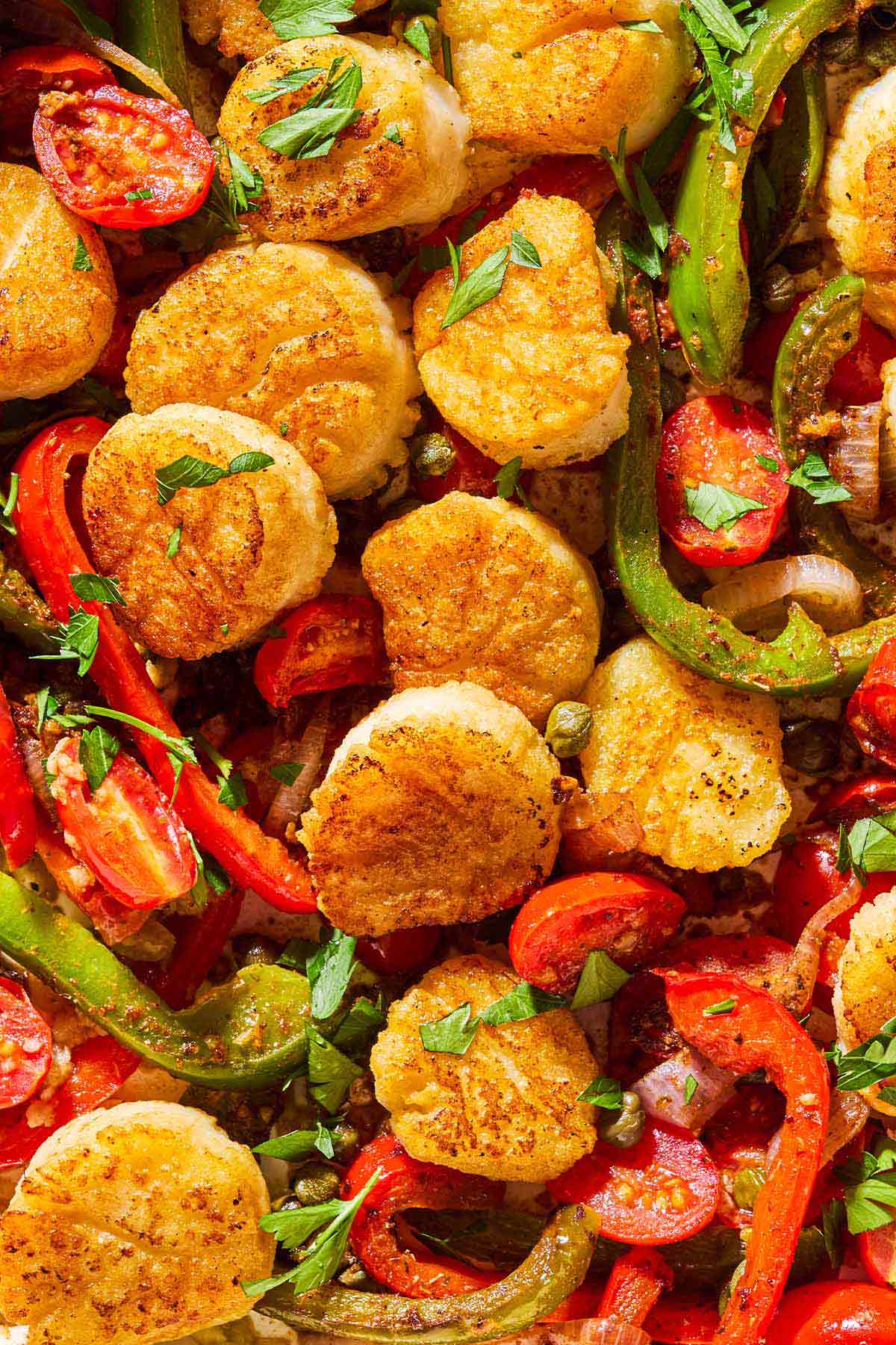 A close up of Mediterranean scallops nestled with tomatoes and bell peppers.