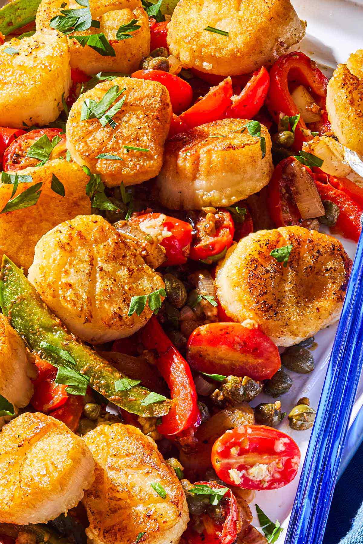 A close up of Mediterranean scallops nestled with tomatoes and bell peppers.