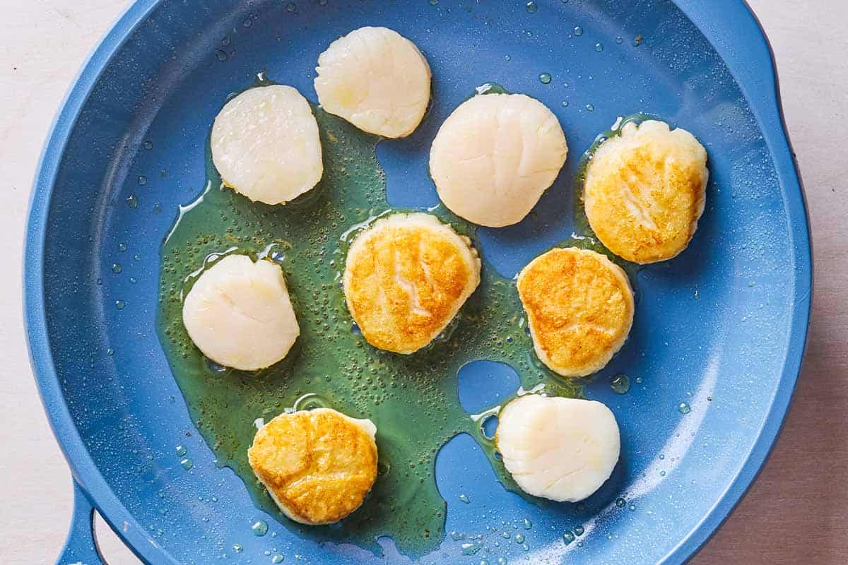 Sea scallops being seared in a skillet.