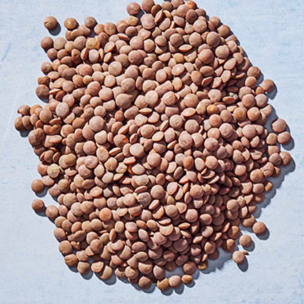 Close up of brown lentils.