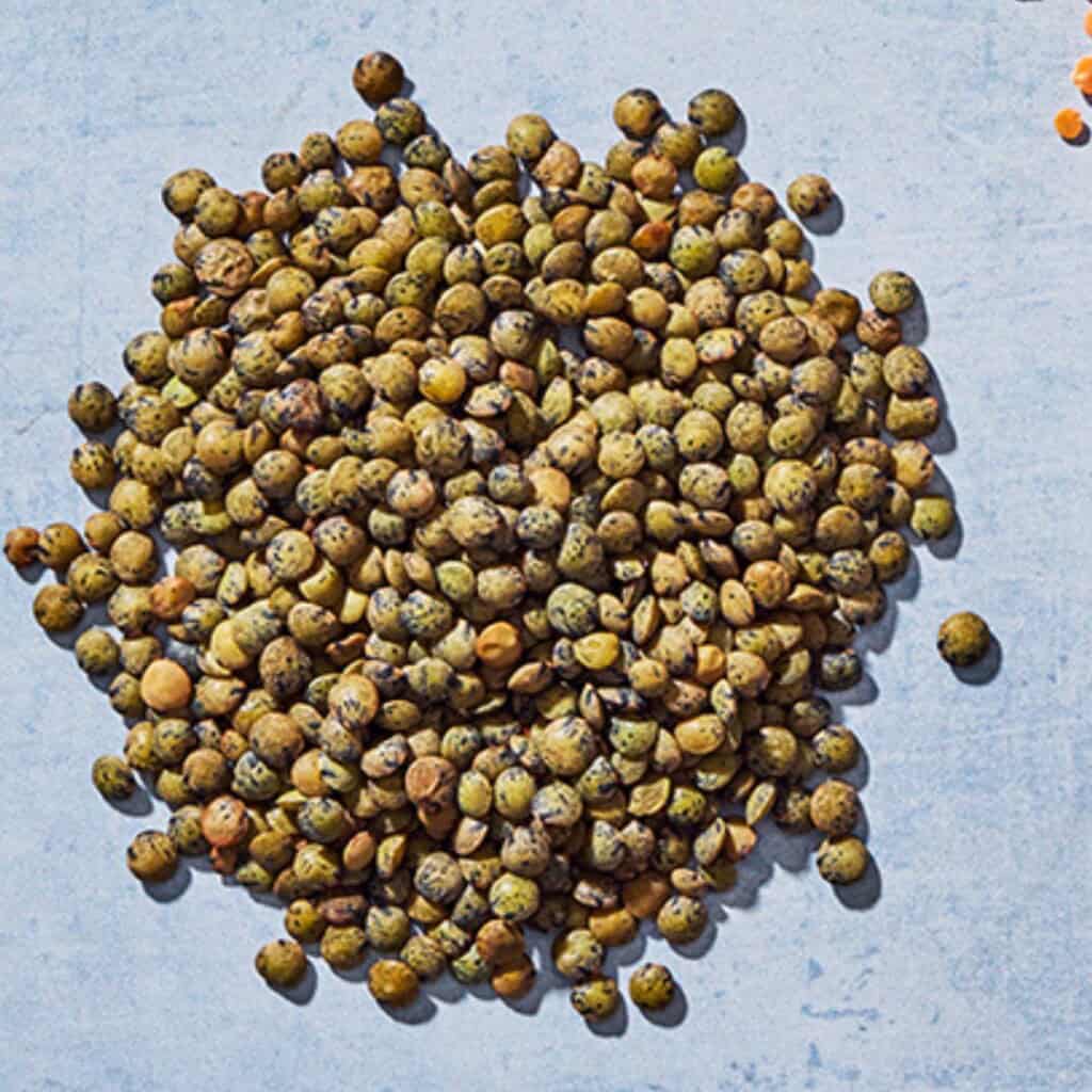 Close up of French green lentils.